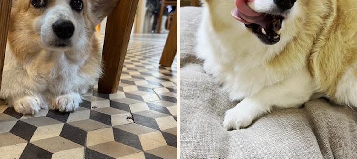 Melané - Gallery Image 9