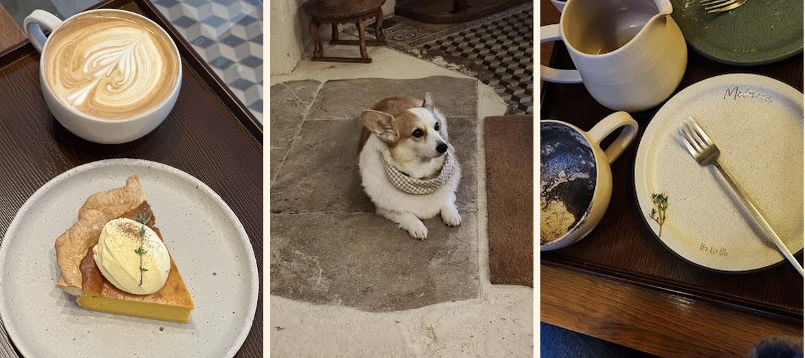 Melané - Gallery Image 3