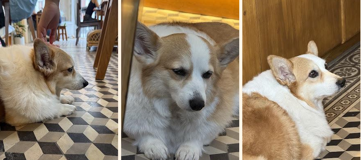 Melané - Gallery Image 8